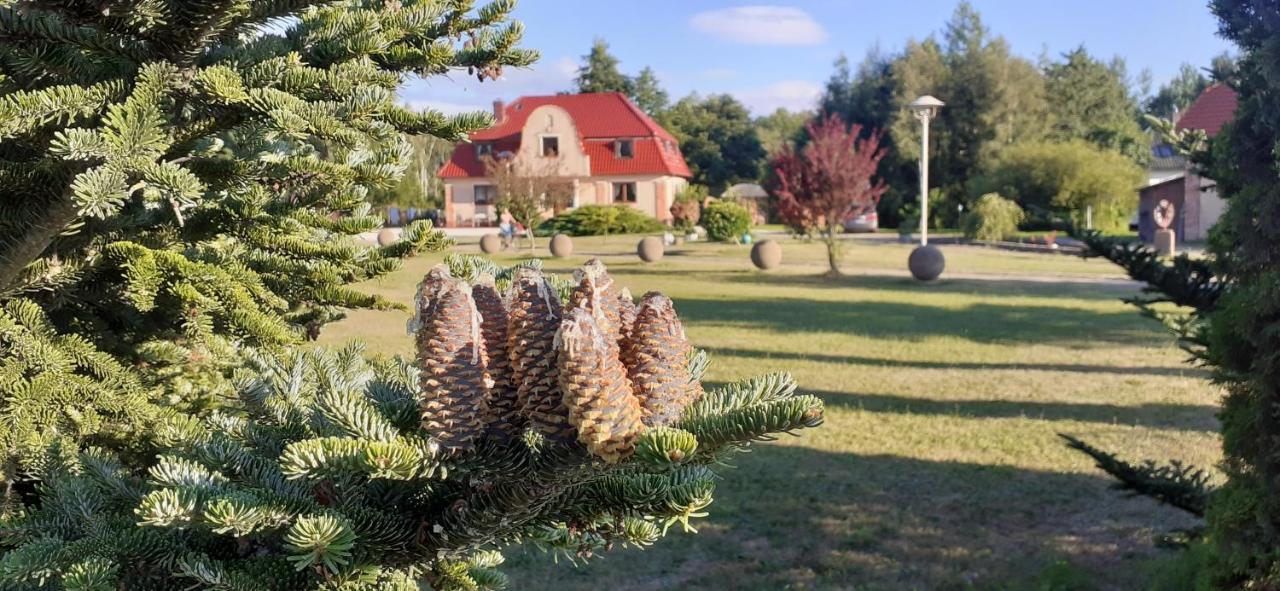 Sielanka - Domki I Pokoje Pod Leba Zarnowska Exterior photo